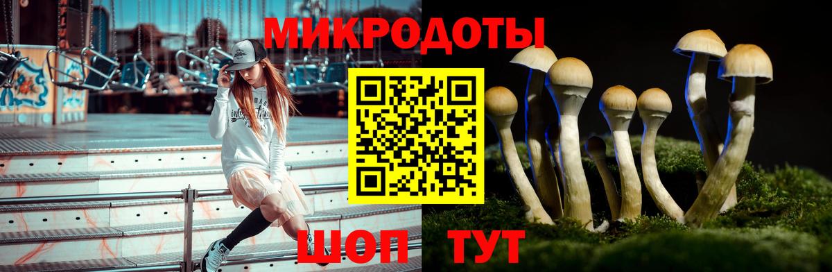 Миасс  Псилоцибиновые грибы Psilocybine cubensis  где купить наркоту  Вход с VPN 